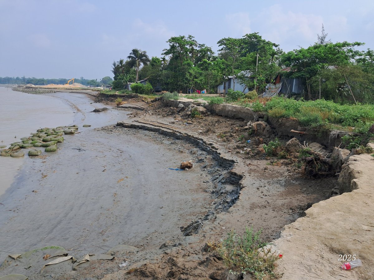 sfahammod's tweet photo. This is how the west of Patwarihat Union in Kamalnagar Upazila collapsed. The main market of the union is very close. If no steps are taken quickly to prevent the collapse before this monsoon, the union will soon cease to exist. So take quick steps to save the union. https://t.co/dEsOHg4rmL