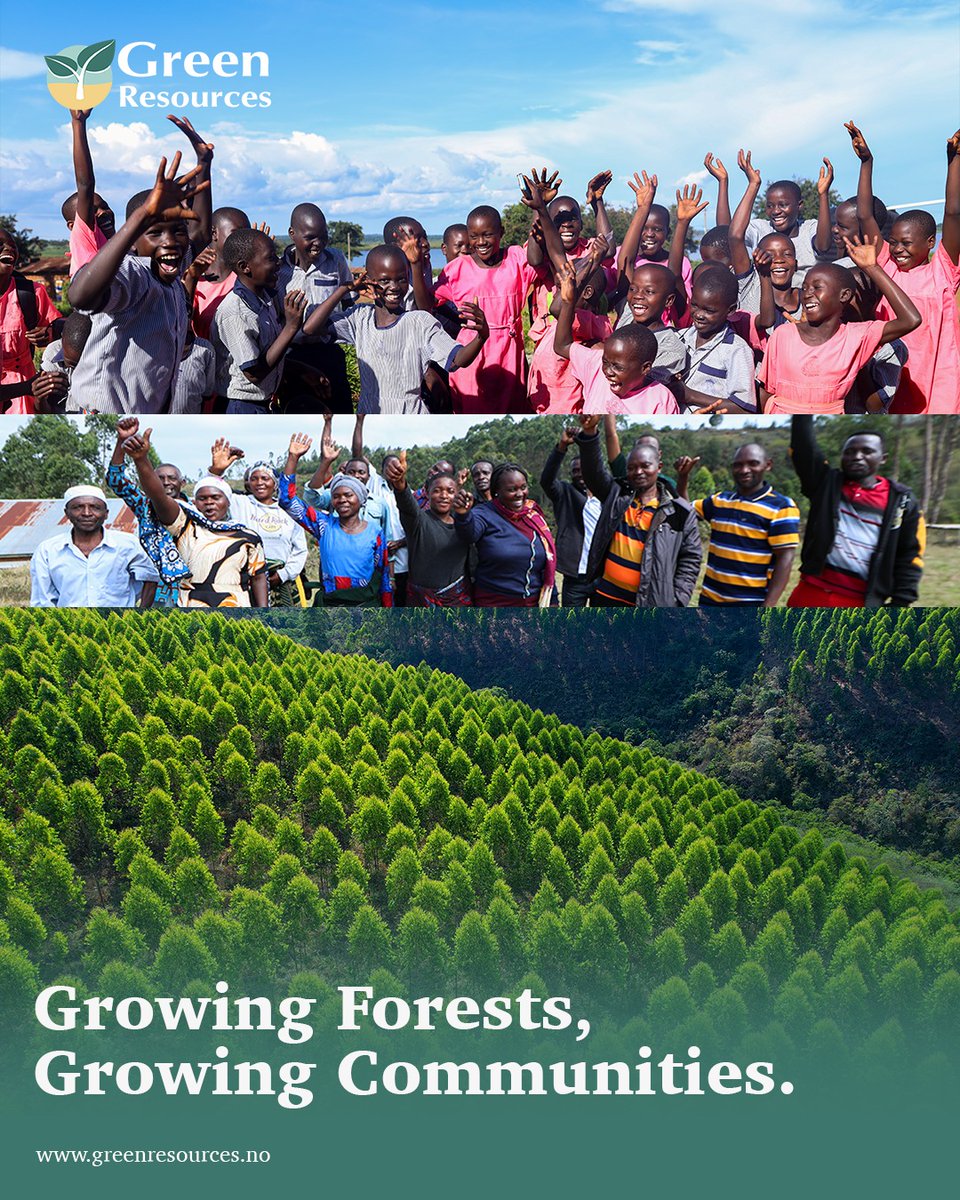We believe that forestation is one of the most effective ways to uplift rural communities, creating both economic opportunities and social development. By investing in sustainable forestry, we help build better livelihoods, stronger economies, and a greener future.

Join us in
