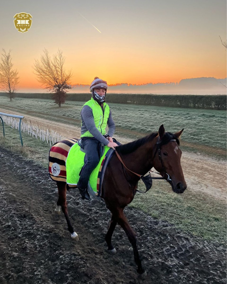 Khaldiya enjoying a leg stretch and the beautiful sunrise in Newmarket 🌅
.
خالدية تستمتع بتمديد ساقها خلال وقت شروق الشمس الجميل في نيوماركت 🌅