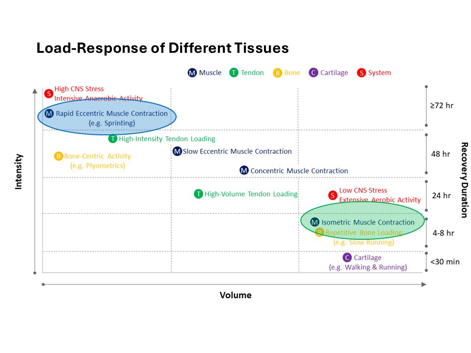 NEW ARTICLE: You Can’t Cheat Biological Healing Time – What Can Strength and Conditioning Coaches Learn from Rehab Professionals?

gabbettperformance.com.au/you-cant-cheat…