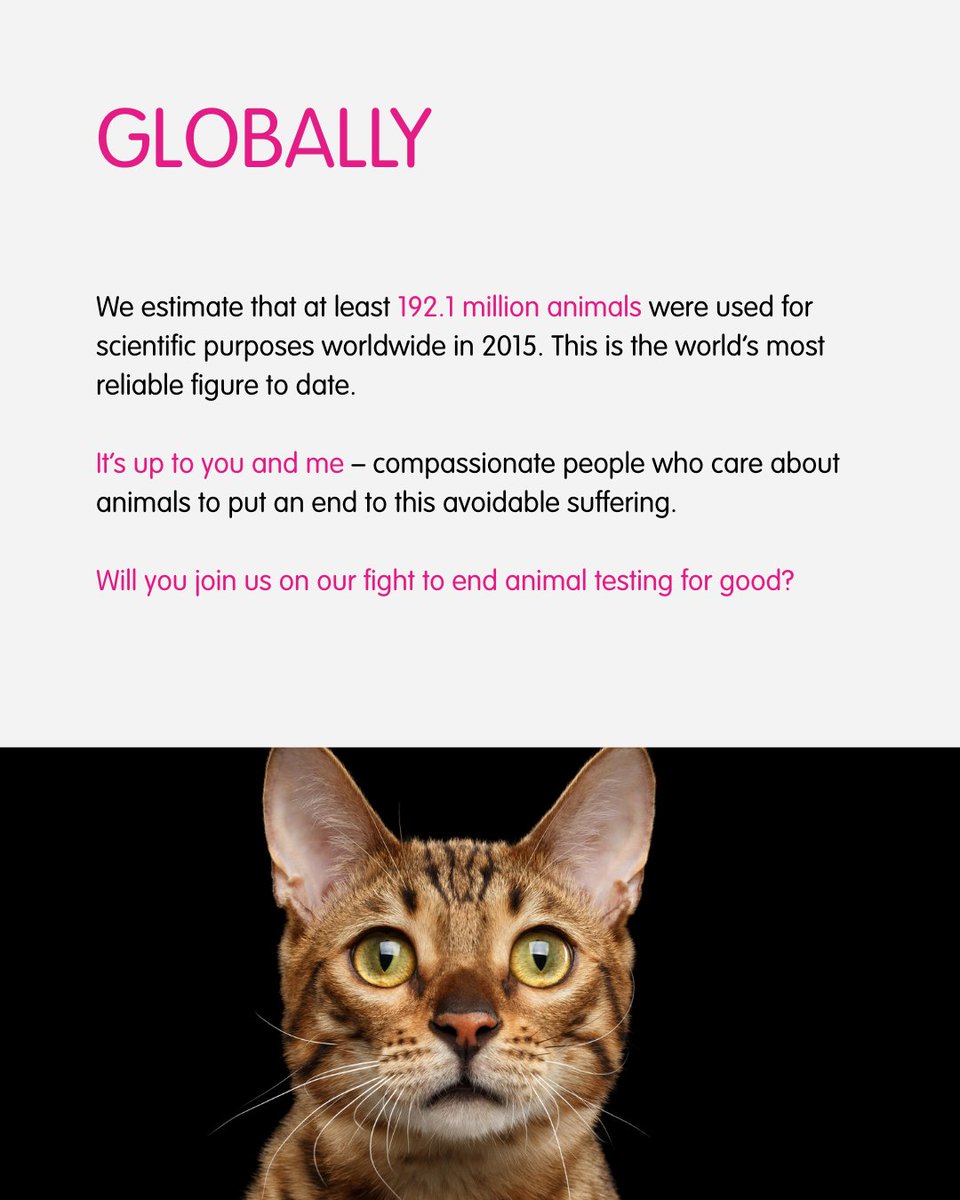 World Day for Animals in Laboratories not only reminds us that innocent lives are at threat, but calls us to urgently act together to save animals from cruelty.

With a donation, you can help save millions of animals suffering in laboratories: bit.ly/4icepnL 

#WDAIL25