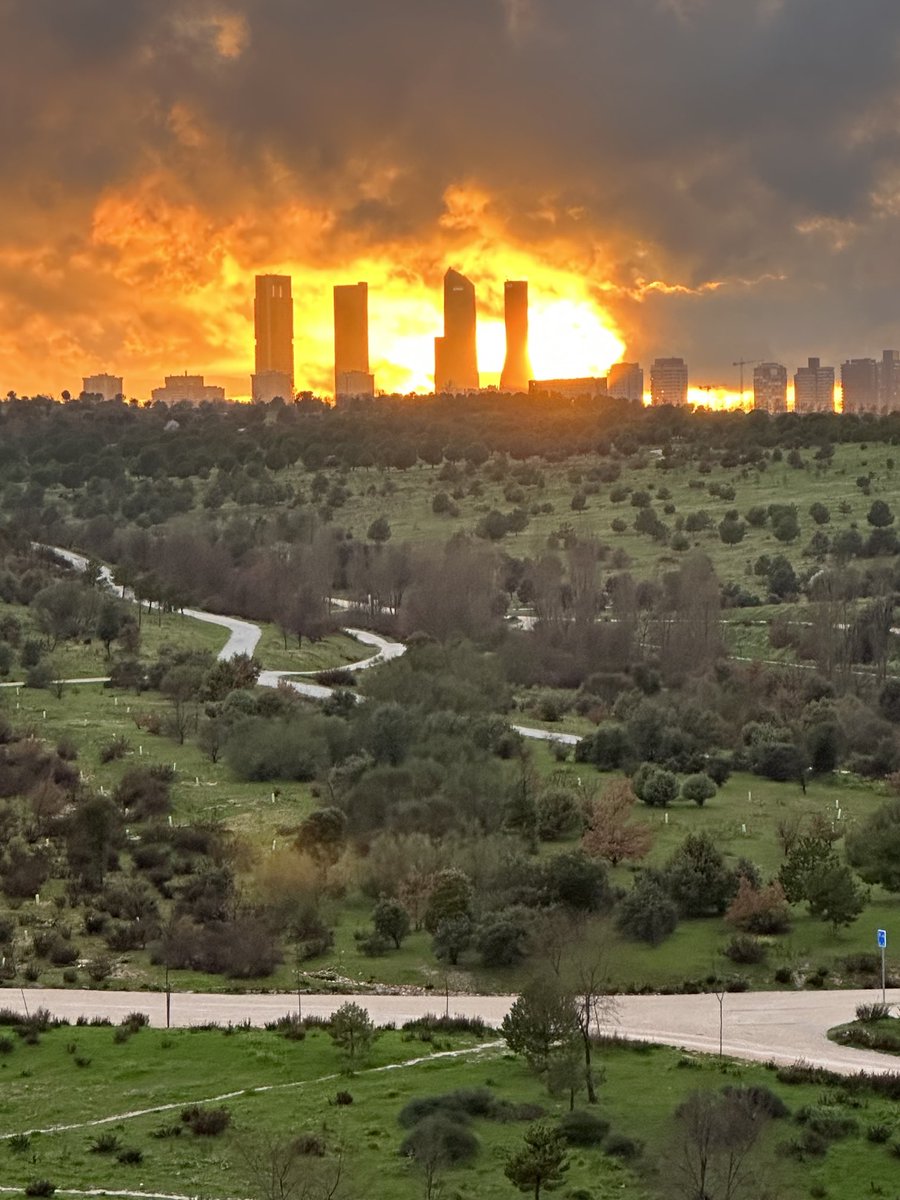 Parque Forestal #Valdebebas