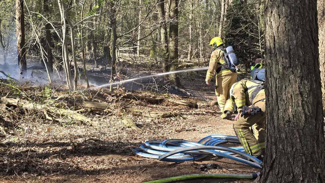 Aangestoken bosbrand in Zeddam, politie zoekt getuigen