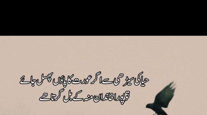 हया की सीडी से अगर औरत का पांव फिसल जाए तो पूरा खानदान मुंह के बल गिरता है