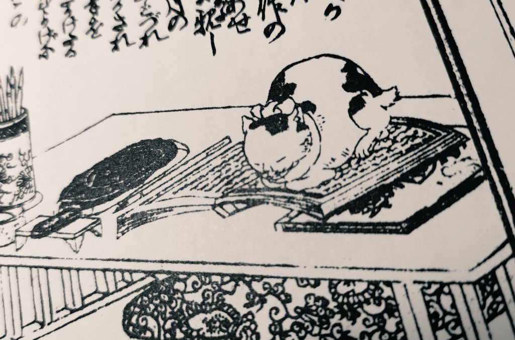 pinkjyoudai's tweet photo. いま何気に眺めてて
「やっぱり乗るんだなあ」
フフッてなったやつ https://t.co/D3NvRqrxOr