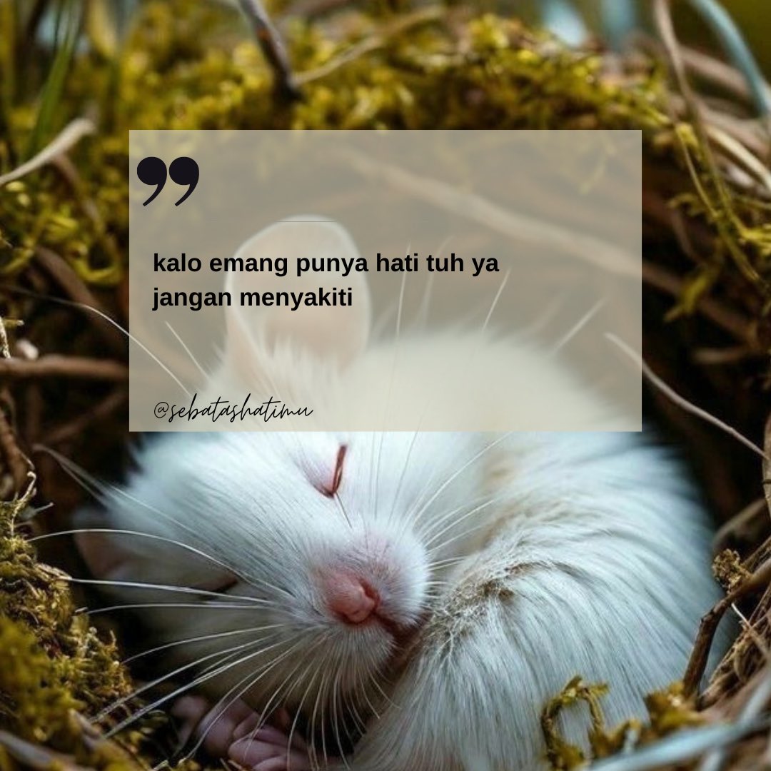 kalo emang punya hati tuh ya jangan menyakiti