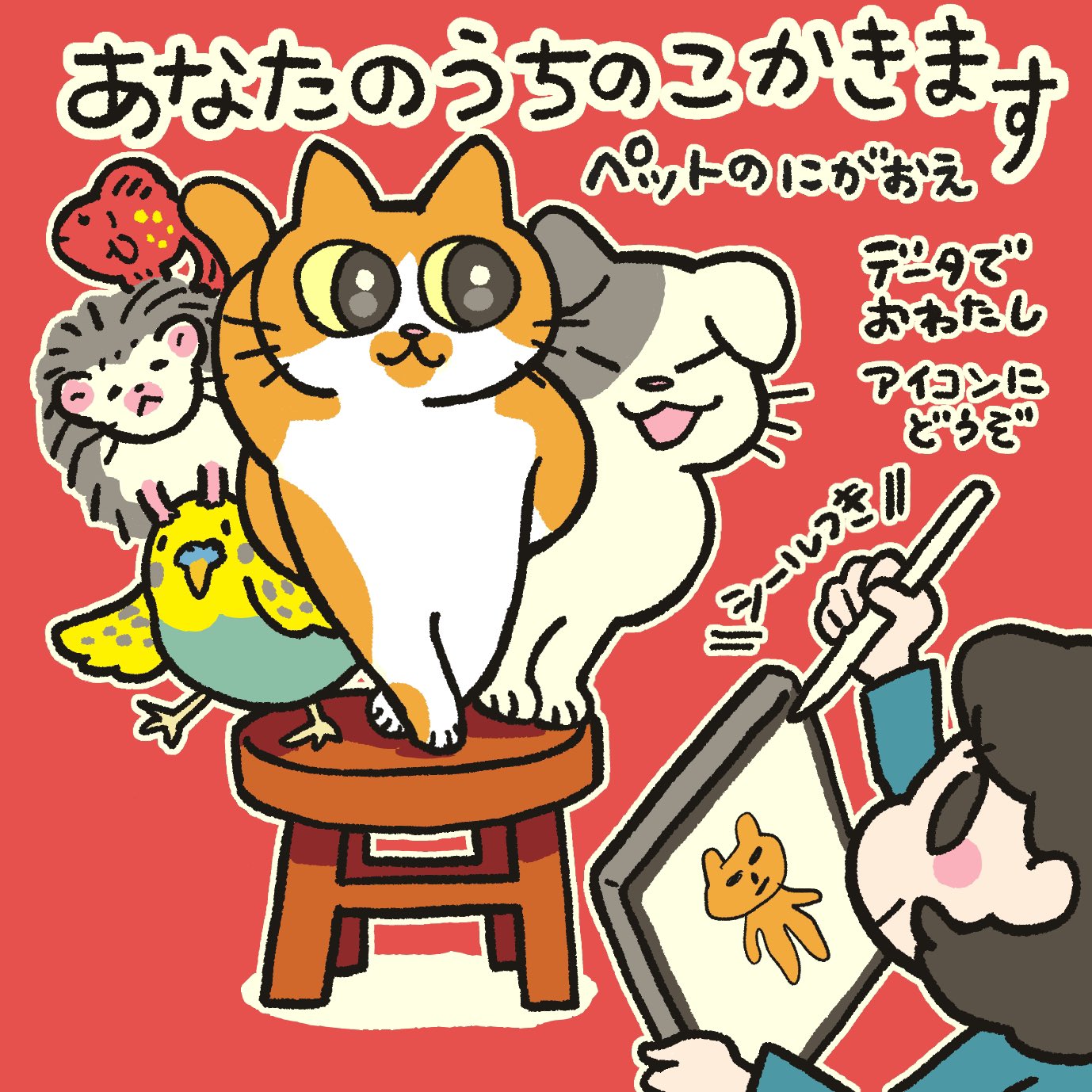 かルル🐱Kalulu on X: 