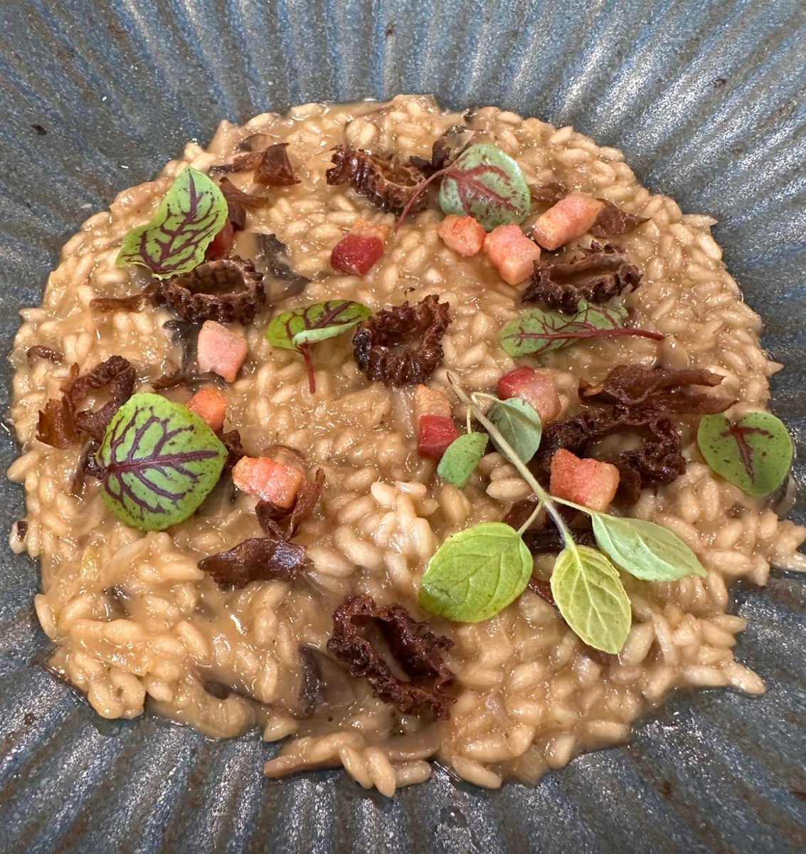 Young Risotto Chef tweet media