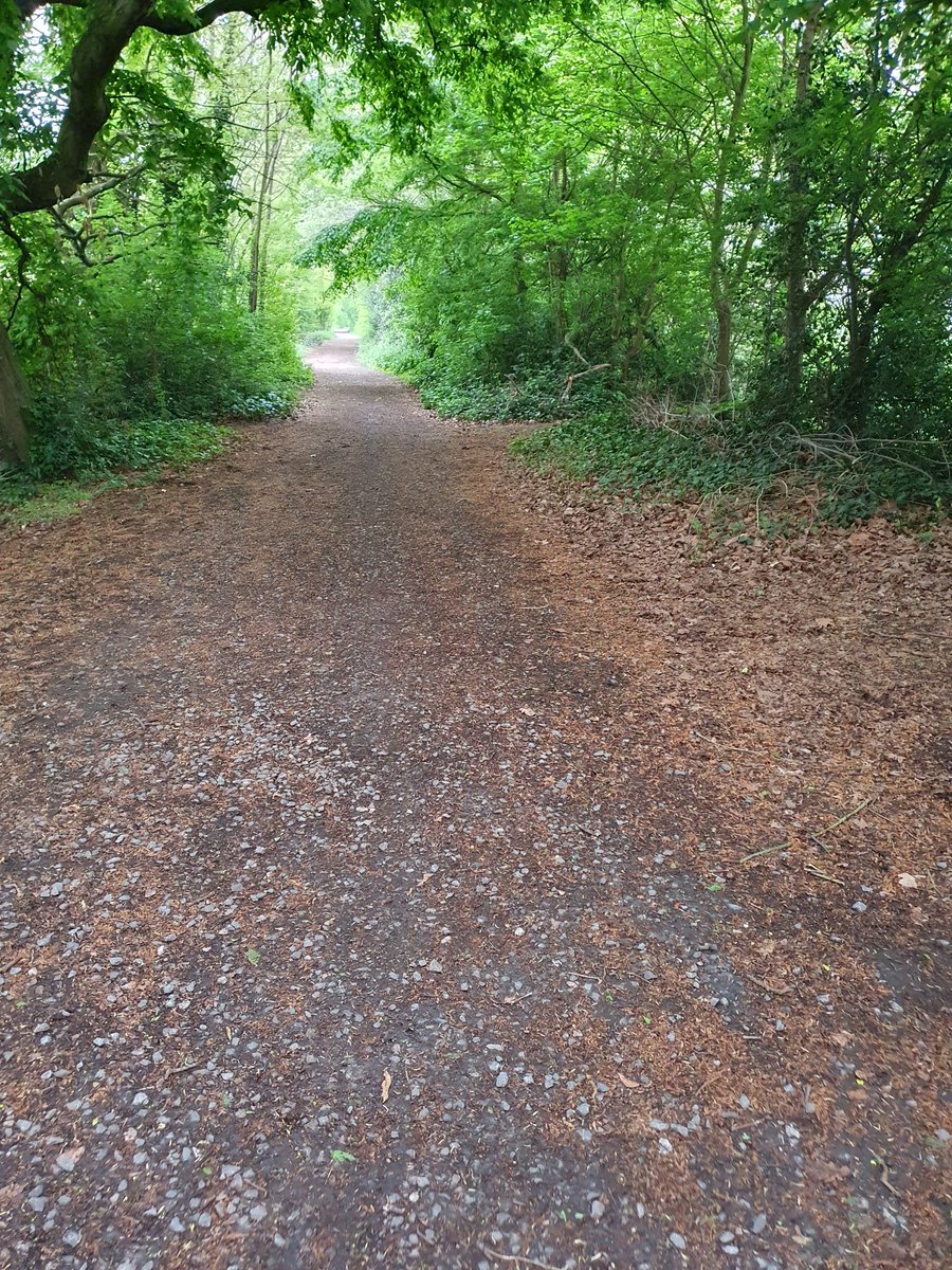 Numinousviews's tweet image. Do you follow the well trodden path of the collective, or do you find your own way on the journey of individuation?