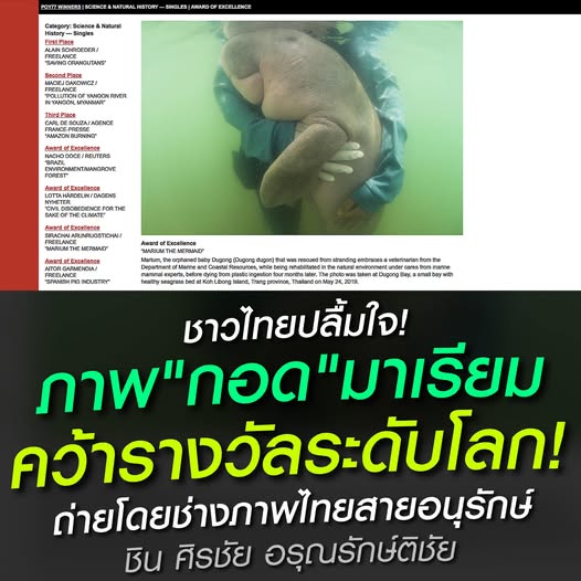 S. Noina Supratya tweet media
