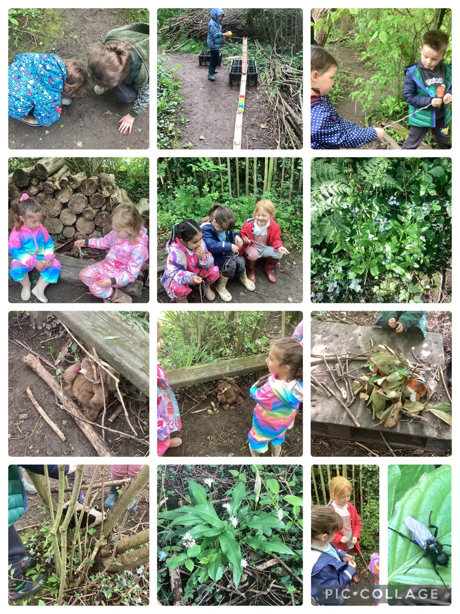 Lovely fun filled morning in forest school 🌱🪲🐛 🍃🐜🐞