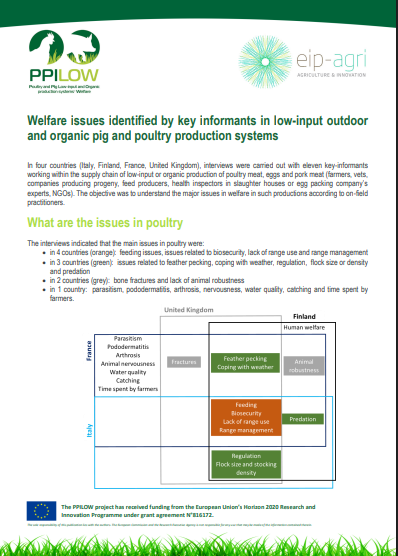 "Welfare issues identified by key informants in low-input outdoor and organic pig and poultry production systems" 🐷🐔🌿

🔎Read the factsheet here👇
ppilow.eu/wp-content/upl…