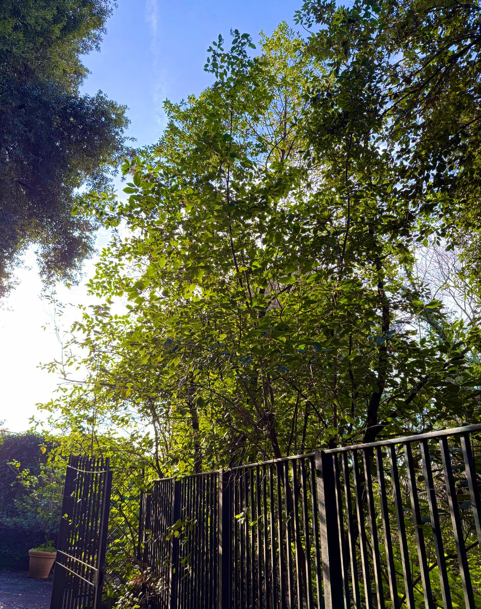 يوسف بهزادي (@yousefbehzadi) on Twitter photo 