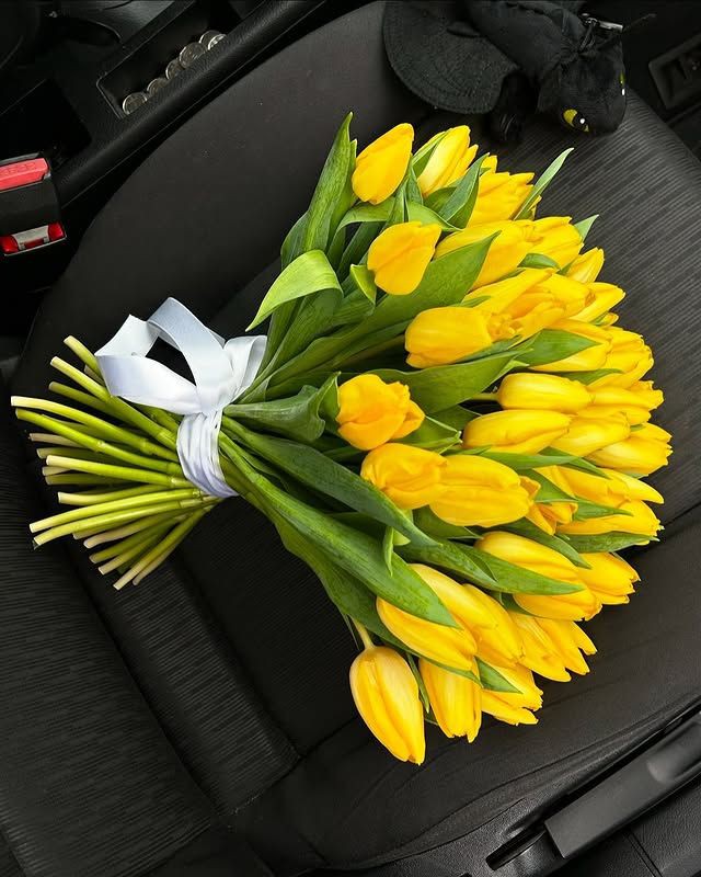 Only Tulips (@tutututututulip) on Twitter photo 