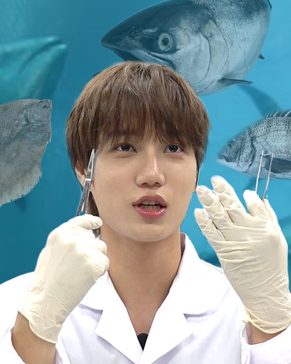 Artemis11494's tweet photo. He is the cutest, sweetest, fastest quick study marine biologist I know...our Jongin πππ«Άπππ π‘
#Jeonwaja_Season6 #Jeonwaja_Season6 #KAI_WaitOnMe #μΉ΄μ΄_μ¨μμ¨λ―Έ_μ€λλ°λ§€ #KAI_WaitOnMe #WallsDontTalk #AdultSwim #KimJongin #KimKai #DancingMachineKai #Kai_Rover https://t.co/3MT4hLzmIg