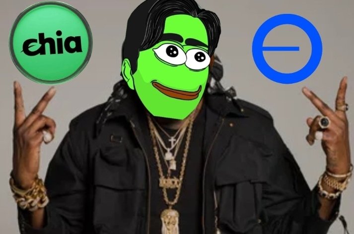 Do you know about $BEPE?
The best, most LP-packed memecoin on #Chia!
Still early — alpha chance to become a millionaire.

We’re all here for the community growth —

Let's play..
1 winner gets a Flying Timelord 200PP!

Task:
follow me &amp; <a href="/bytesandblocks/">🌱 🍊🧙🪞🍕☕Tom Bepe</a>
drop your $XCH address below