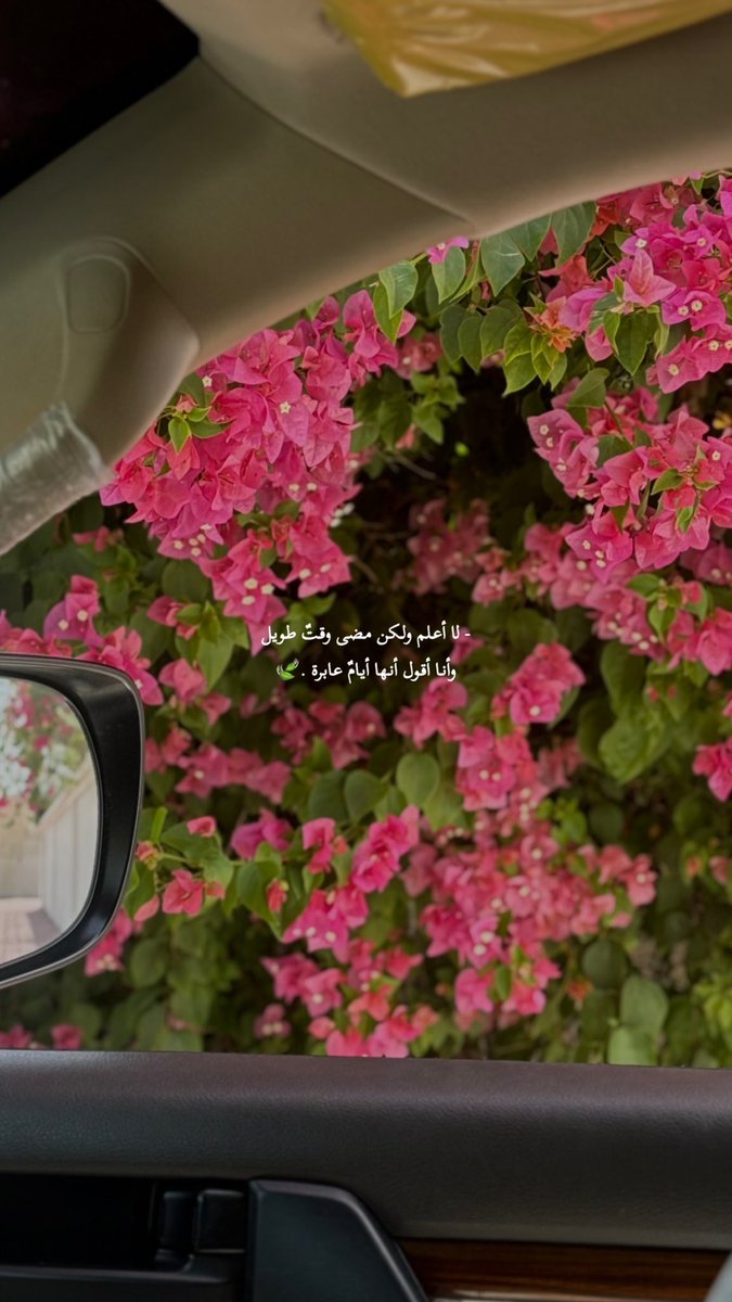 sm_9299's tweet photo. .

🍃 https://t.co/ykxNkhXnek