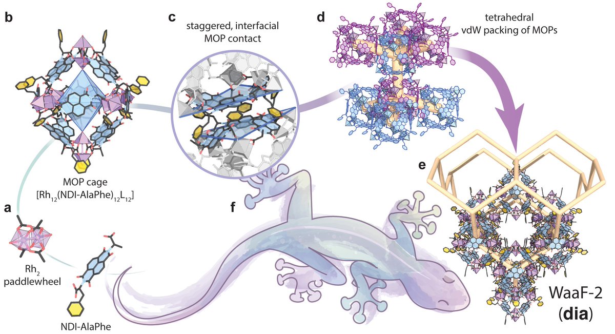 gecniv 📷 | Vince Guillerm 👨🔬 (@gecniv) on Twitter photo MOPs WITH A GECKO'S GRIP.💎🦎
I got the chance to write a News&Views in <a href="/NatureChemistry/">Nature Chemistry</a> about a paper I enjoyed by <a href="/FurukawaG_Kyoto/">Shuhei Furukawa Group</a>.
They made cool MOPs (that's not new) that pack in a diamond fashion the same way geckos climb walls (that's super cool)!👇
rdcu.be/ei8Pj MOPs WITH A GECKO'S GRIP.💎🦎
I got the chance to write a News&Views in <a href="/NatureChemistry/">Nature Chemistry</a> about a paper I enjoyed by <a href="/FurukawaG_Kyoto/">Shuhei Furukawa Group</a>.
They made cool MOPs (that's not new) that pack in a diamond fashion the same way geckos climb walls (that's super cool)!👇
rdcu.be/ei8Pj