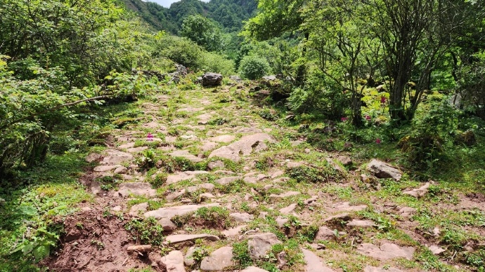 GanziChina's tweet image. Four cultural heritage sites from Ganzi made China's tentative World Heritage list:
Shiqu County's Songge Mani Stone City &amp;amp; Walls
Danba's Watchtowers &amp;amp; Tibetan Villages
Sichuan's Ancient Tea-Horse Road
Daocheng's Piluo Site &amp;amp; unearthed stone tools
#GanziGuide #SpringTrip #culture