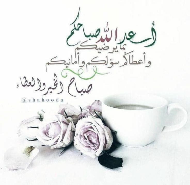 *يمنية وافتخر* (@soso00474224) on Twitter photo 