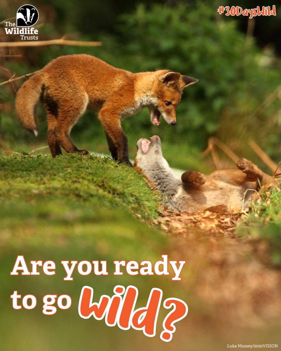 Sign-ups for #30DaysWild 2025 are officially OPEN! 🌳💚

Join thousands of nature lovers this June in exploring the wild with fun challenges, creative ideas, and magical outdoor moments. 💚

It’s FREE to join—so why not go wild with us? Sign up today 👉 loom.ly/rwj8GLo
