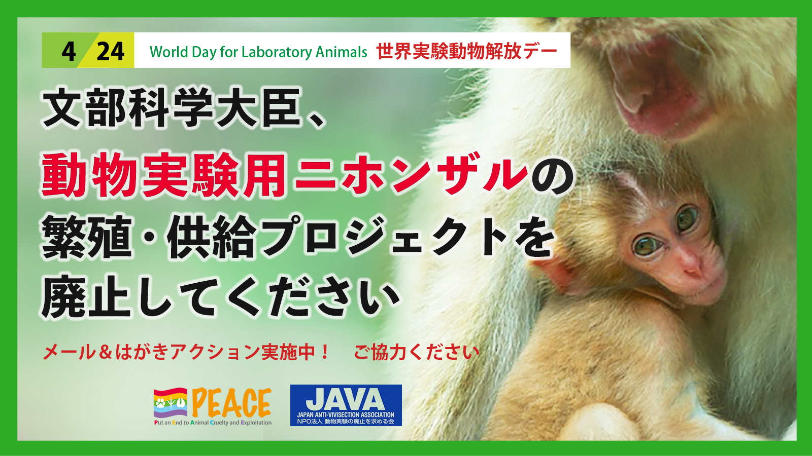 動物実験の廃止を求める会 JAVA (@JAVA_ANIMAL) / X