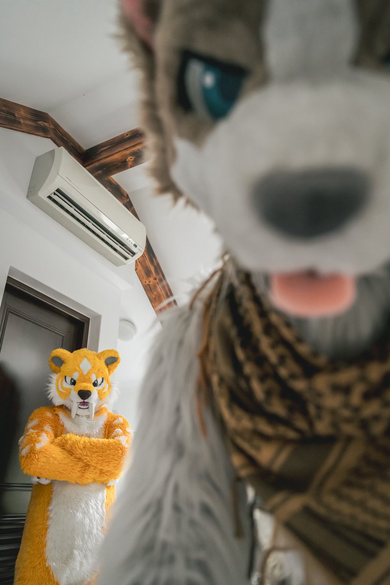 被我抓到你在偷吃下午茶

🐶<a href="/CaraguaWoof/">Ca Woof ➡️ UTFG2025</a> 
📷<a href="/daisukechen_tw/">大助喵➡以茶會毛</a> 
#FursuitEveryday #DragonX2