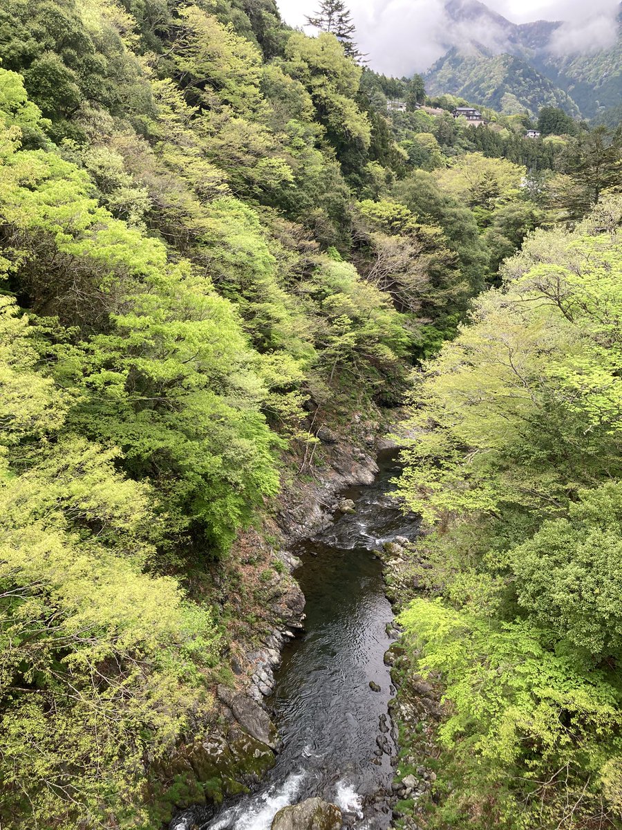 新緑の息吹き…奥多摩😉
氷川・上段：笹平橋､下段：弁天橋