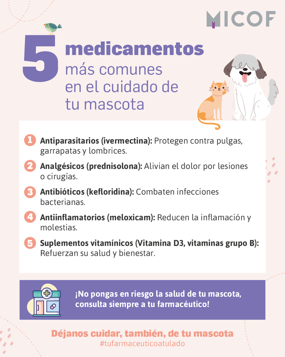 🐦 ¡Buenos días!

💊 Repasamos los 🖐 medicamentos más comunes en el cuidado de tu mascota. 

🐶😸 Para proteger su salud sin riesgos, recuerda que siempre tienes a #tufarmaceuticoatulado 🥼💚