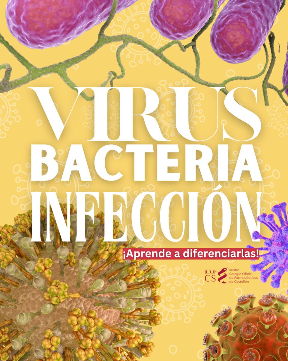 🤔Es común confundir los términos de bacteria, virus e infección, así que desde el ICOFCS ¡te ayudamos a diferenciarlos!

​🦠#BACTERIAS:
👉🏼Microorganismos vivos que pueden ser beneficiosos o causar enfermedades.
💊Se tratan con antibióticos, siempre con prescripción médica.