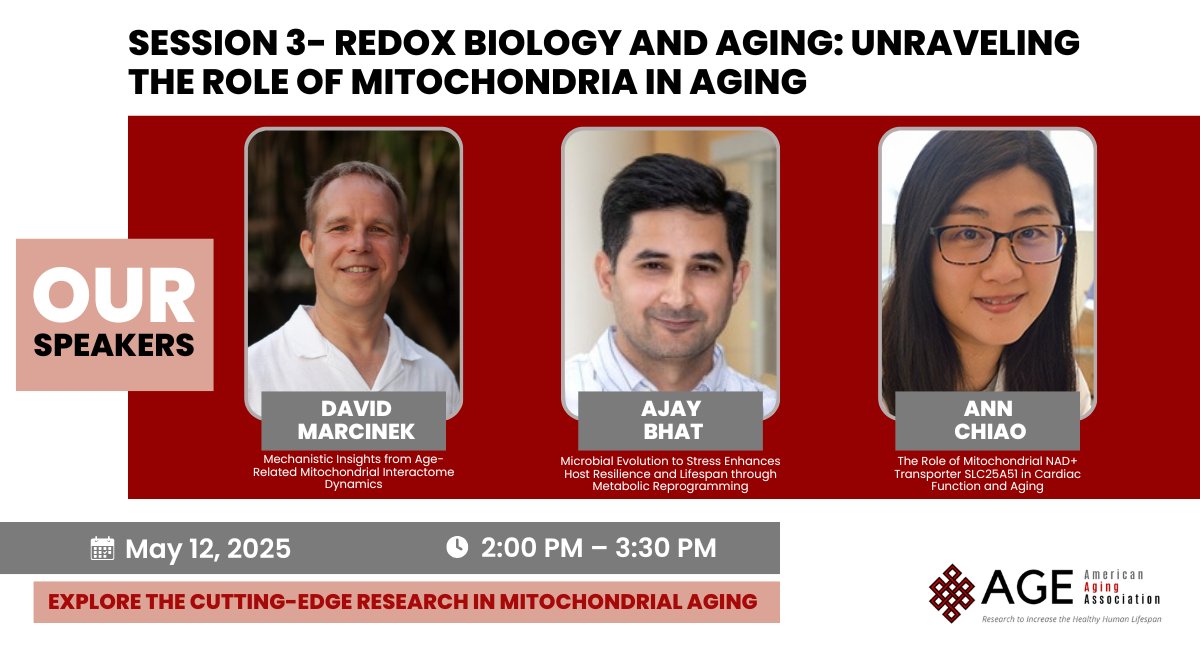 Join us at #AGEAnnualMeeting2025 for Session 3: Redox Biology and Aging on May 12, 2025, 2–3:30 PM at Tikahtnu Ballroom.
Speakers: David Marcinek, <a href="/ajybhat/">ajay bhat</a>, <a href="/AnnChiaoPhD/">Ann Chiao, PhD</a>, Weronika Zarzycka, and Jasmine Liu
bit.ly/4cJx8Gd
#RedoxBiology #MitochondrialAging #AgingResearch