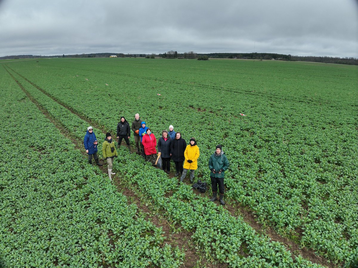 FutureScapes tweet media