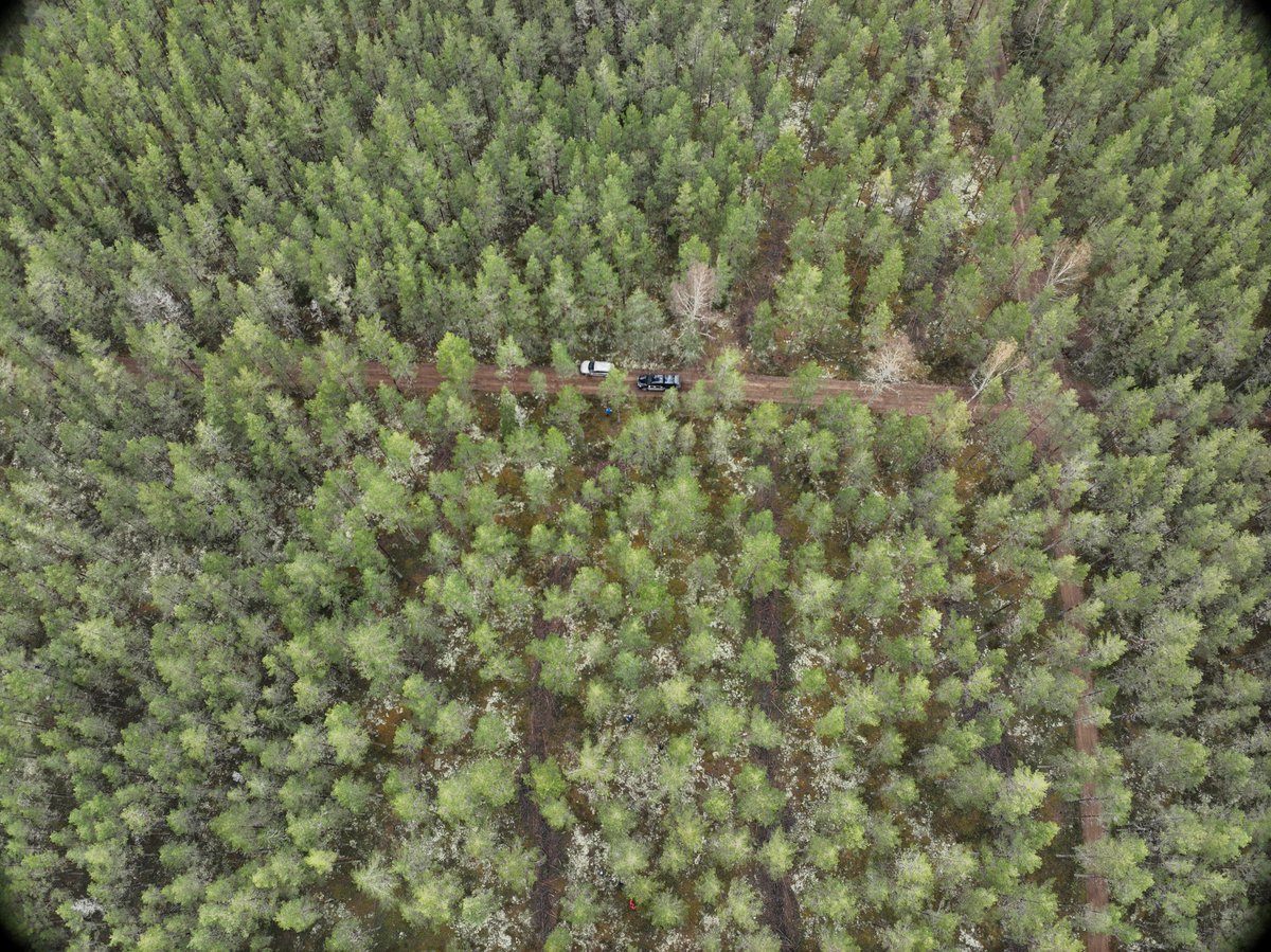 FutureScapes tweet media