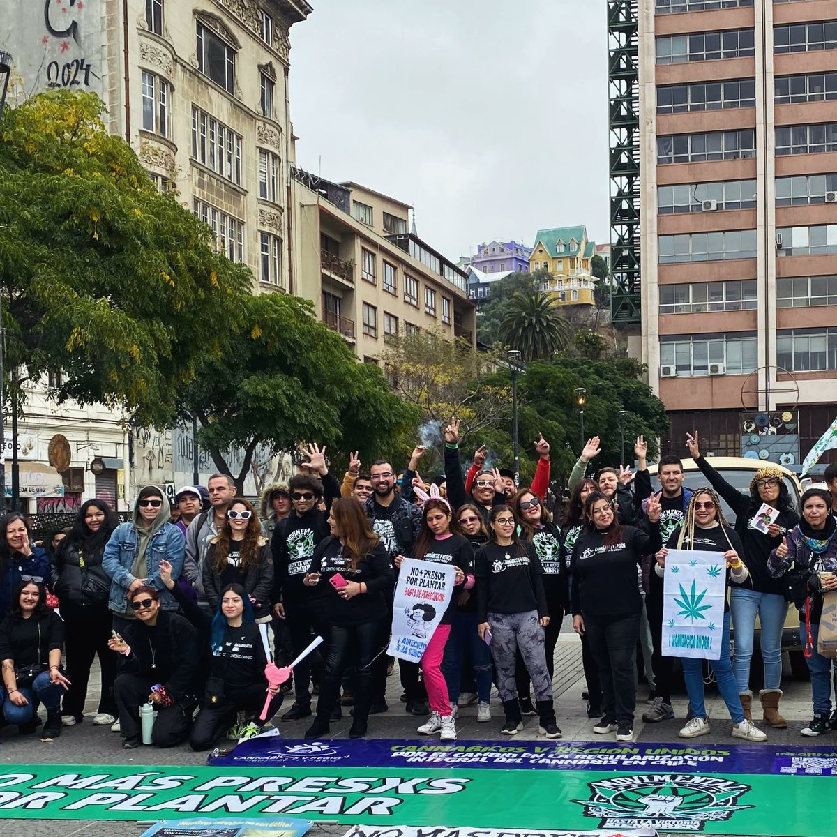 Marcha Cultiva tus derechos 2025 Vaparaiso 
Representamos a todas las víctimas de la Ley20mil, llevando nuestras memorias como bandera de lucha, junto a nuestros mártires; Rodrigo Barraza🕊 y Felipe Be🕊
Con la esperanza de que el Estado🇨🇱 se haga cargo de la REPARACIÓN histórica