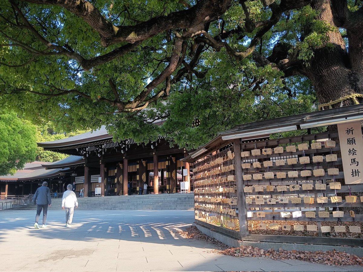 ORGANIC_CAFE's tweet photo. Meiji Shrine (明治神宮, Meiji Jingū)
Shibuya Tokyo Japan https://t.co/QNelYT9OMO