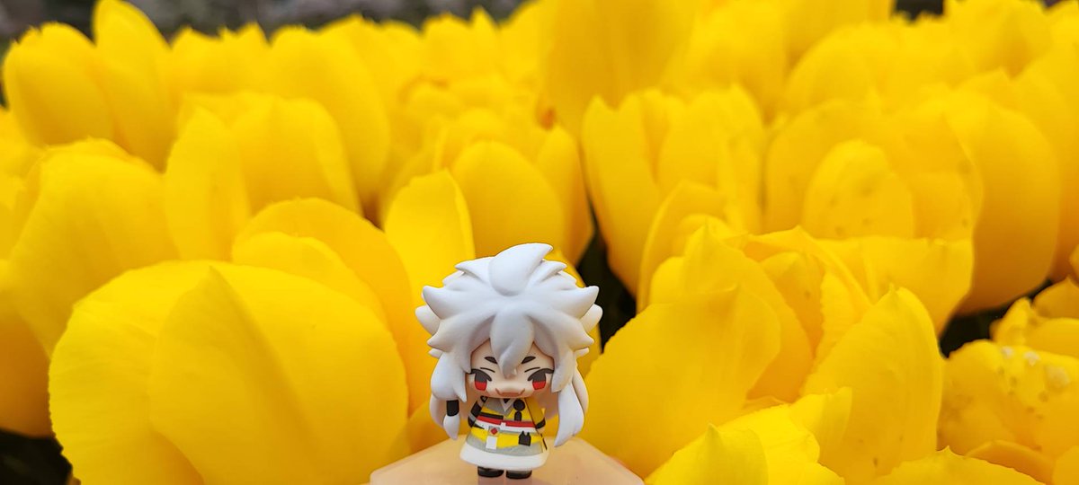 こぎちゃんとちうりっぷ🌷