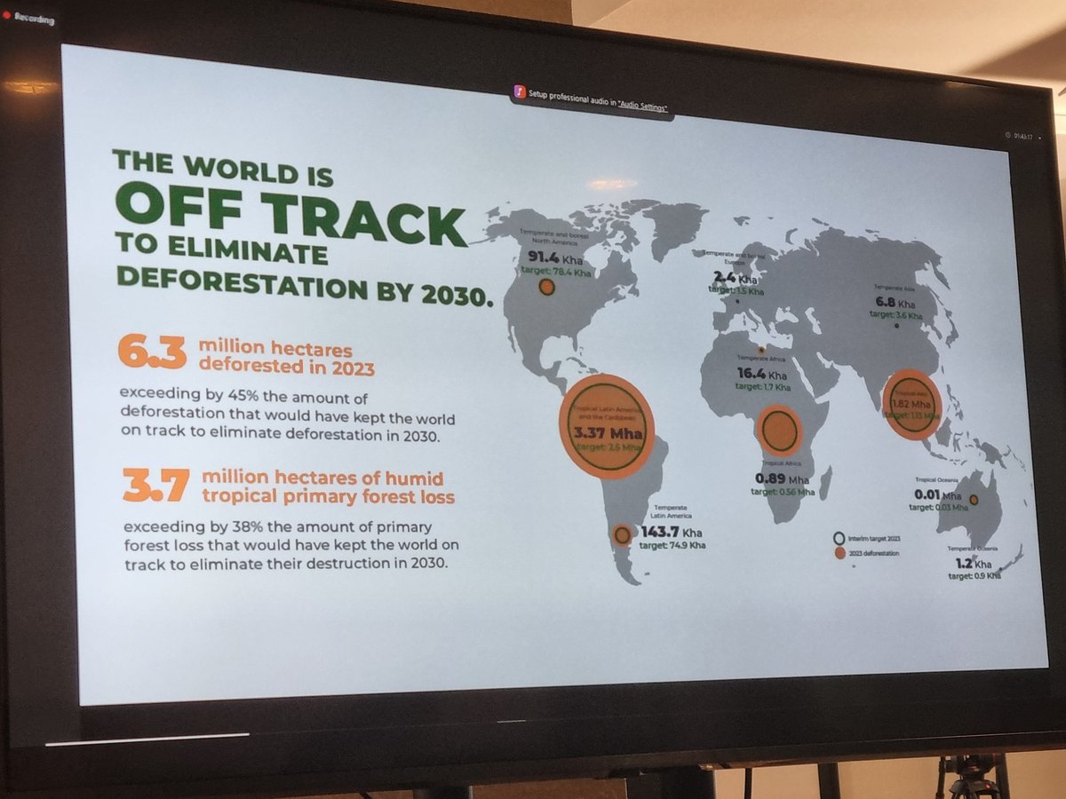 Sasa Danon tweet media