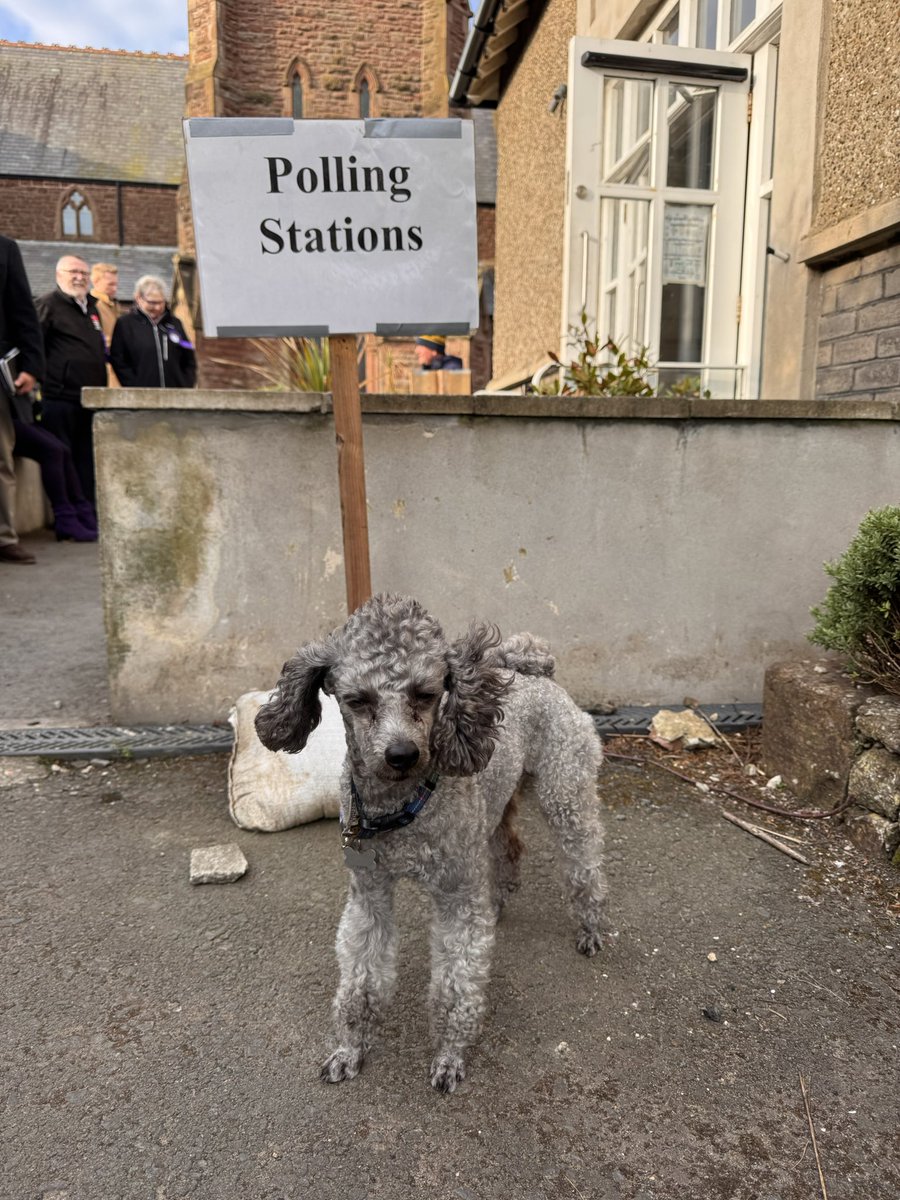 izmirIOM's tweet photo. #DogsAtPollingStations https://t.co/aOtUl7NBAn
