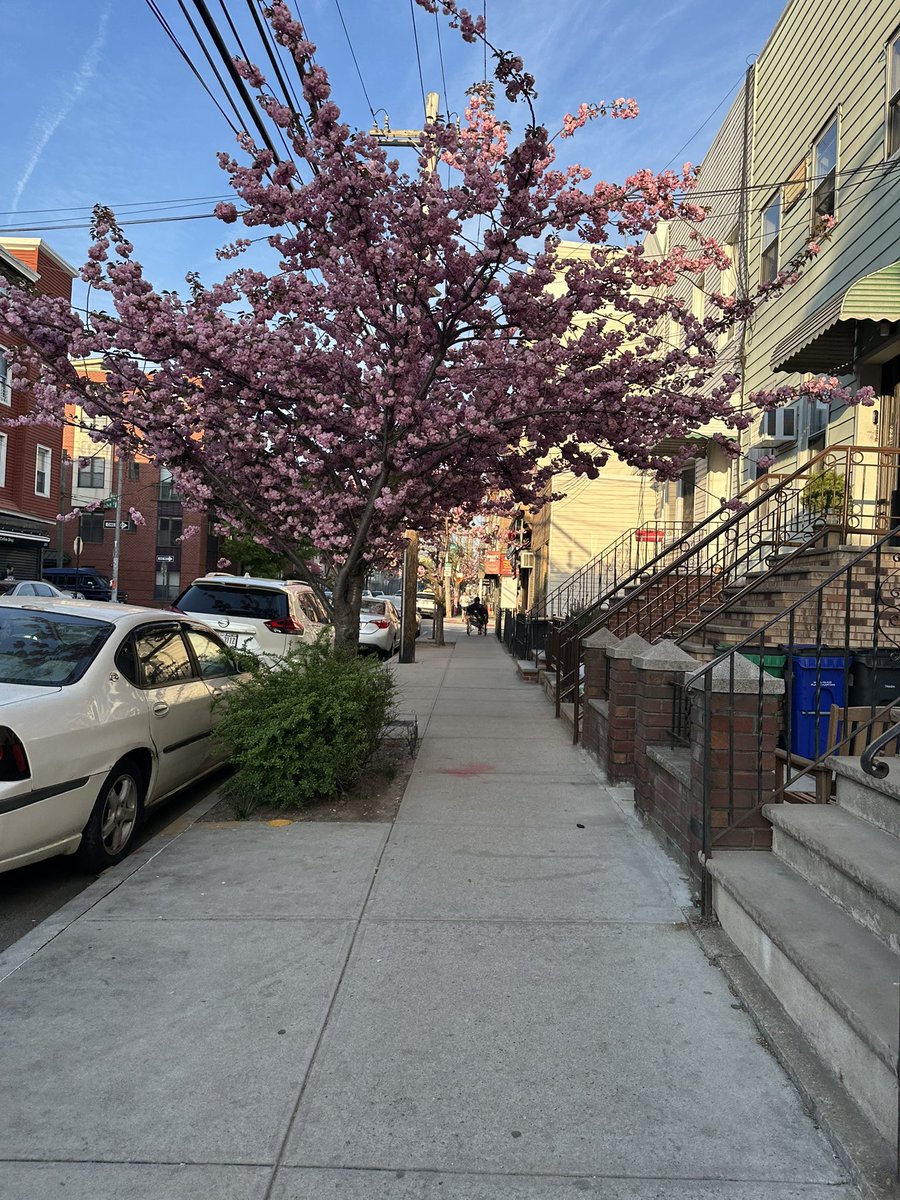 indieralph's tweet image. My block pretty at all hours of the day.