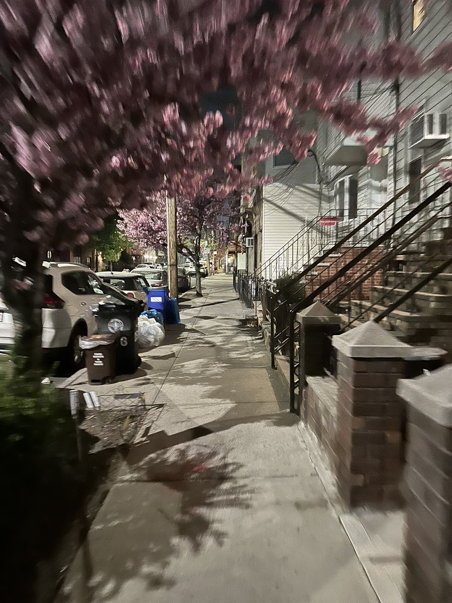 indieralph's tweet image. My block pretty at all hours of the day.