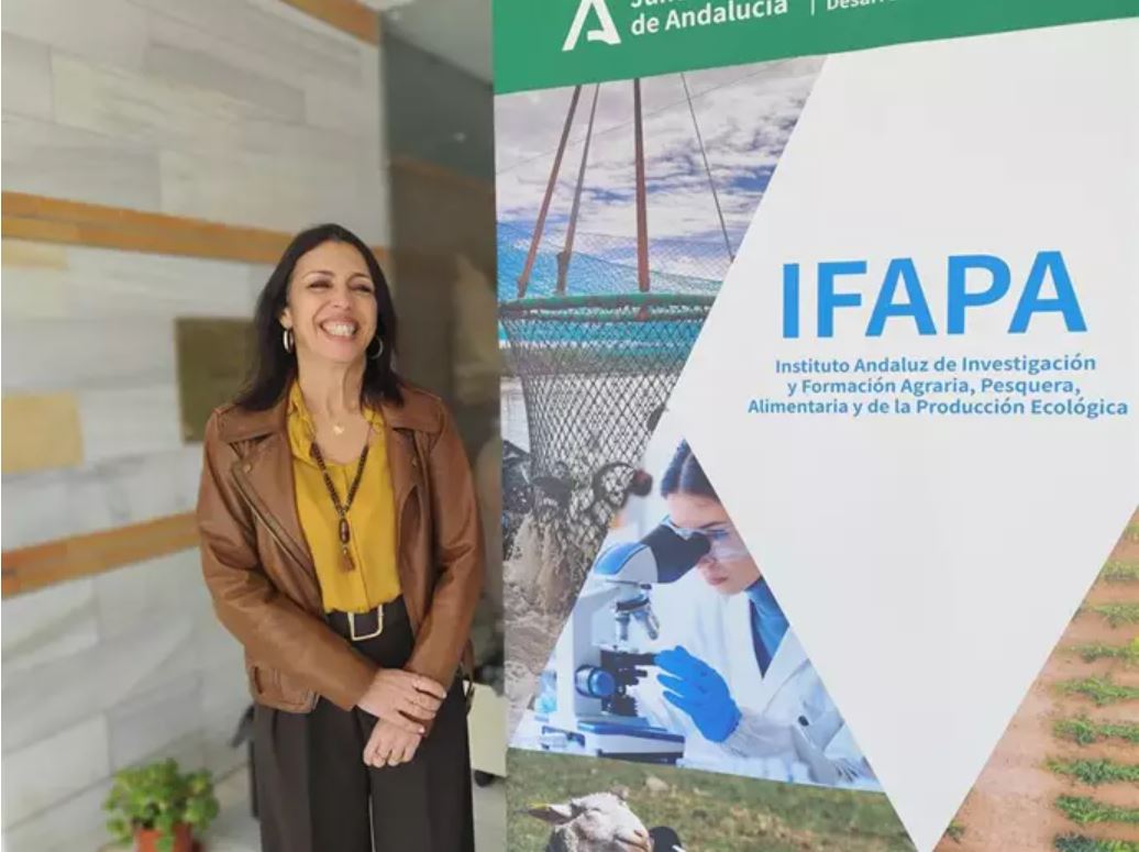 ¿Sabías que el #IFAPA cuenta con cinco bancos de #germoplasma (🫒, 🍇, 🍓, 🫘 ,🥒) y trabaja en un sexto (🐐) para conservar el patrimonio genético y fomentar la #investigación?

Conócelos en esta entrevista de <a href="/EPAndalucia/">Europa Press</a> a <a href="/martabosquet/">Marta Bosquet🇪🇦💚🤍💚</a>:

📰europapress.es/esandalucia/al…