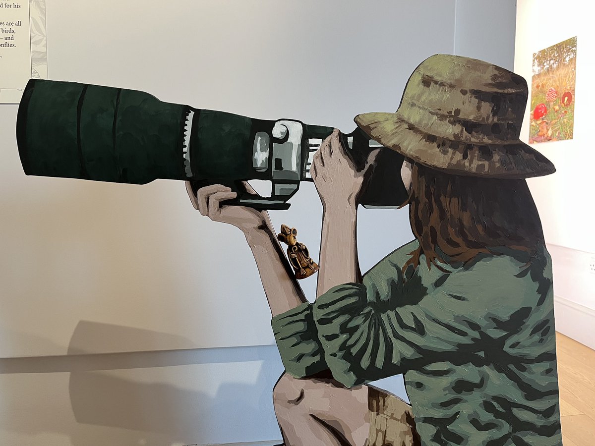 As someone who loves wildlife and Hertfordshire, I can’t recommend the ‘Wild About Hertfordshire’ exhibition at St Albans Museum enough. Some beautiful bird photos and interesting facts about the species we share our local habitat with. It runs until 6 July.