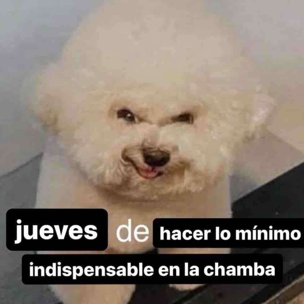 En Júpiter (@en_jupiter_) on Twitter photo 