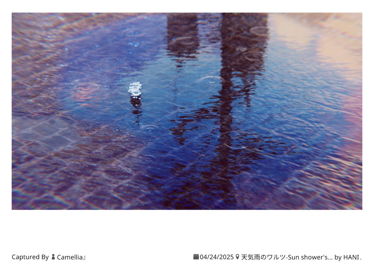 World : 天気雨のワルツ-Sun shower's Waltz
By : HANI․

#VRChatPhotography