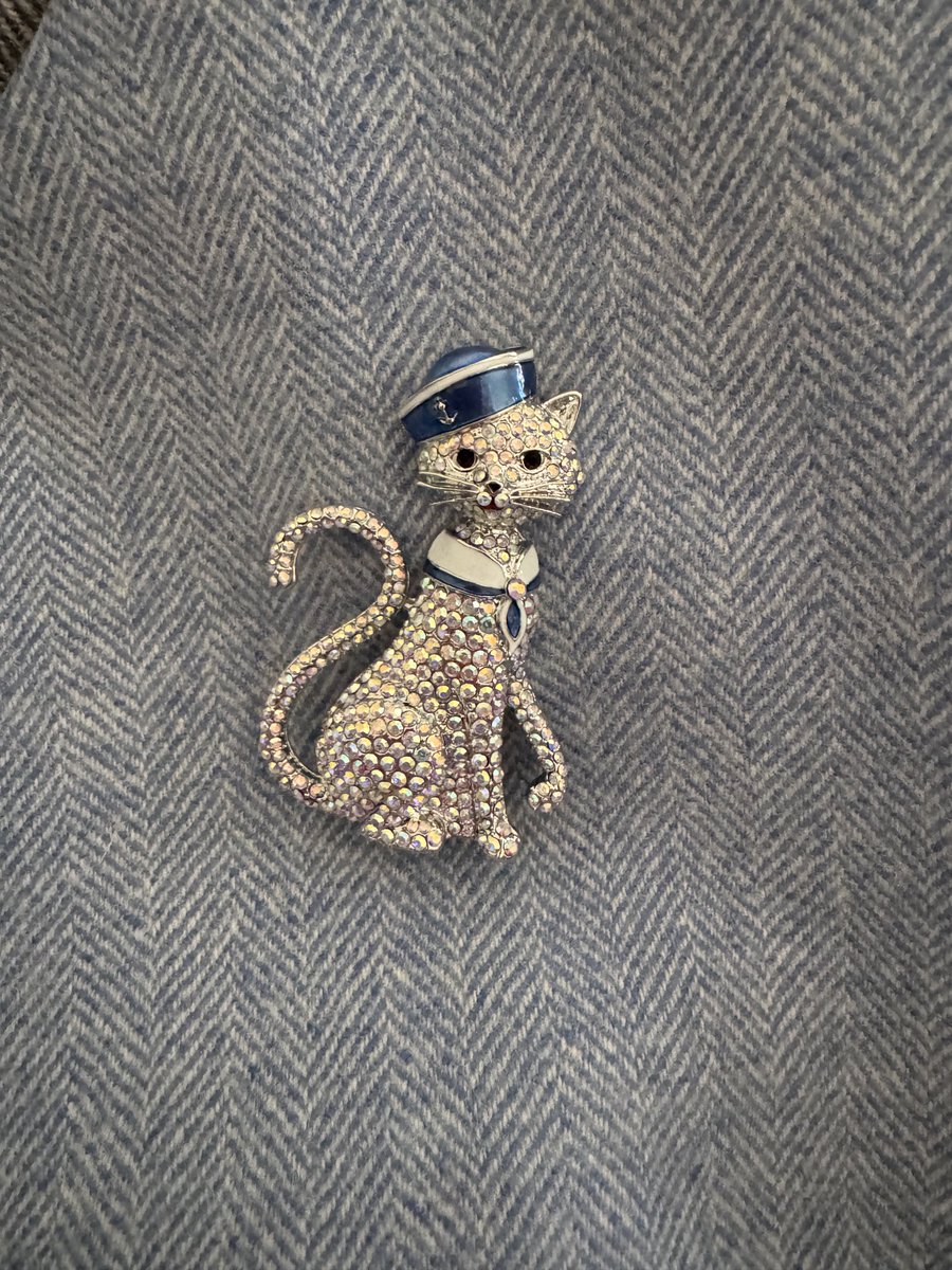 Been told my bling brooches should not have been put away just because my “brooch-off” competitor has left ⁦<a href="/TweetMRS/">MRS</a>⁩ Towers for pastures new . No prizes for whose board meeting I am going to today