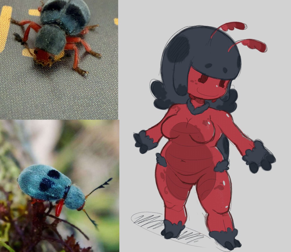 managed to doodle something with a very old art tablet

little red beetle: anyone have any.....fruit?