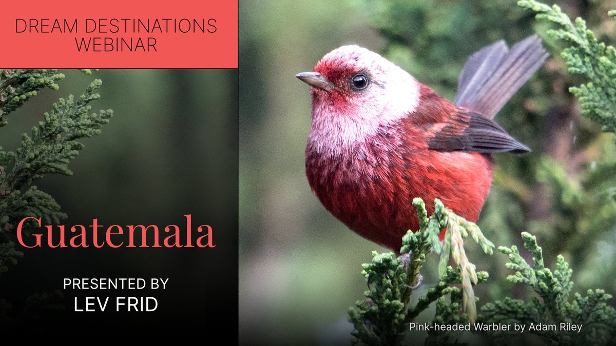 Check out Lev Frid's webinar on Guatemala on our YouTube channel!

youtu.be/YpQl_FodeD8