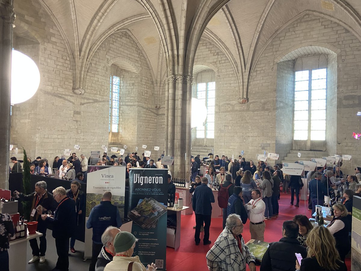 There was a buzz about white Rhône Valley wines at this year's Découvertes en Vallée du Rhône – that even the Trump's tariffs failed to douse – with producers aiming to double production by the end of the decade. Miranda Long reports from the fair. Click the-buyer.net/insight/decouv…