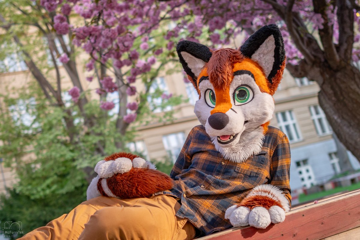 Lounging under the trees 🌼🌳

📷 shot with <a href="/vlaaacek/">VlaceK</a>'s help
