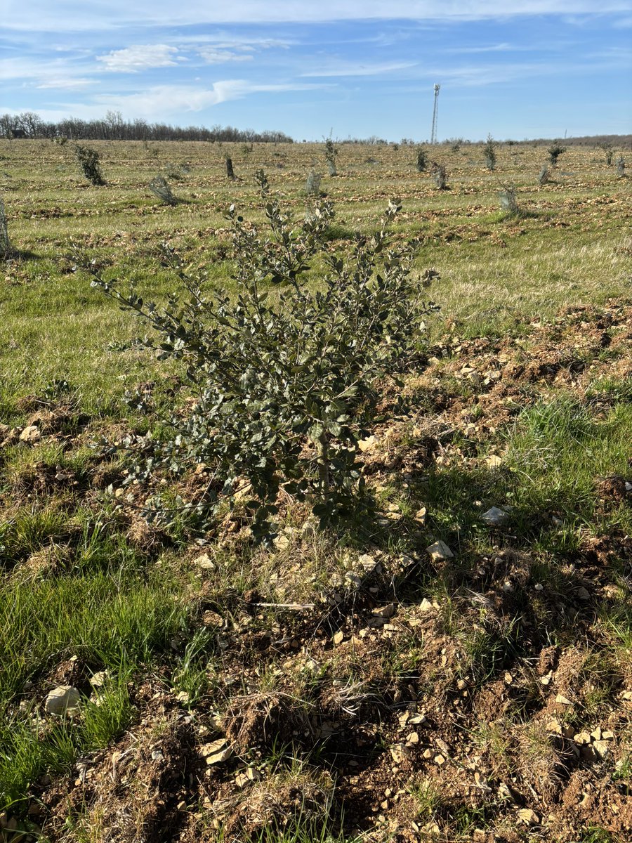 Quatrième année ensemble ❤️